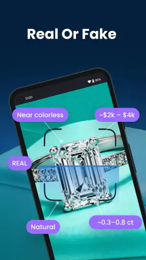 RockIn Rock & Mineral Identify screenshot