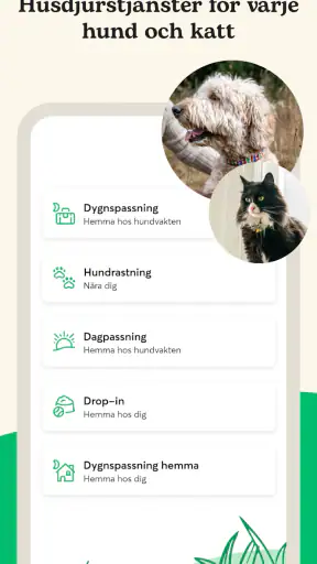 Rover - Dog sitting & walking screenshot