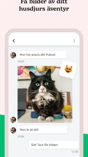 Rover - Dog sitting & walking screenshot
