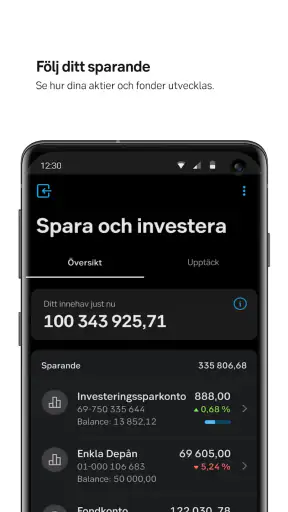 SEB screenshot