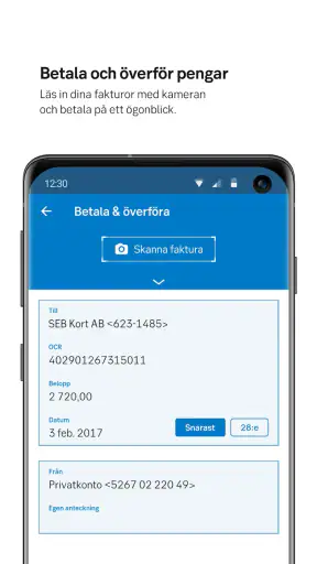 SEB screenshot