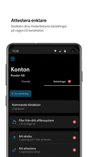 SEB Företag screenshot