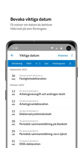 SEB Företag screenshot