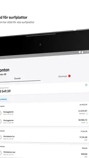 SEB Företag screenshot