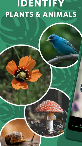 Seek av iNaturalist screenshot