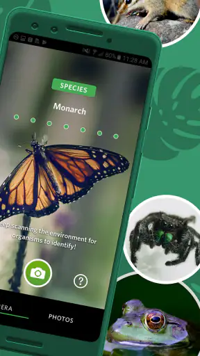 Seek av iNaturalist screenshot