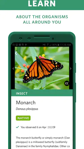 Seek av iNaturalist screenshot