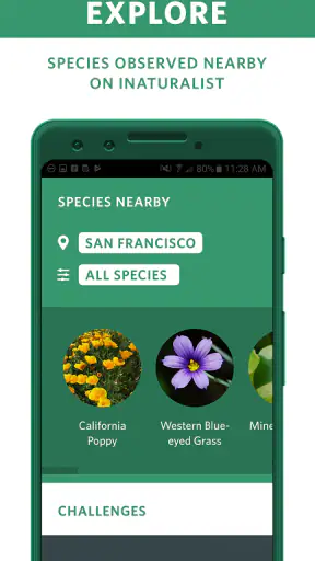 Seek av iNaturalist screenshot