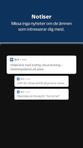 SLA screenshot