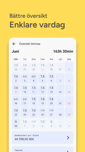 SmartDok screenshot