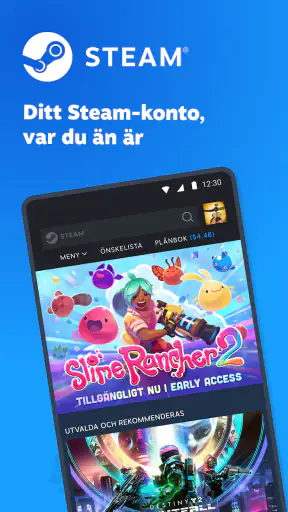 Steam screenshot