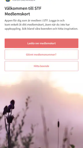 STF screenshot