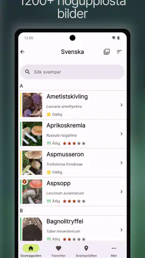 Svampguiden+ screenshot
