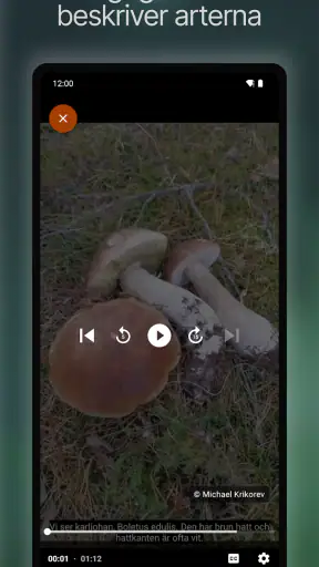 Svampguiden+ screenshot