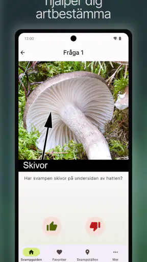 Svampguiden+ screenshot