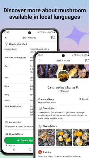 Svampidentifierare screenshot