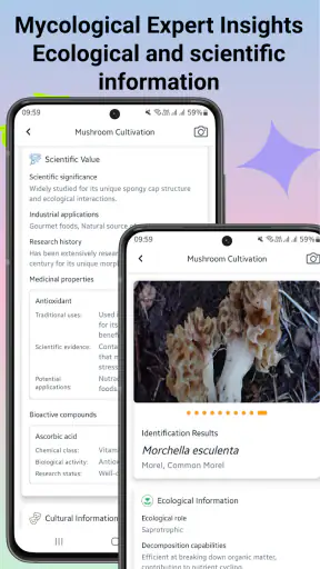 Svampidentifierare screenshot