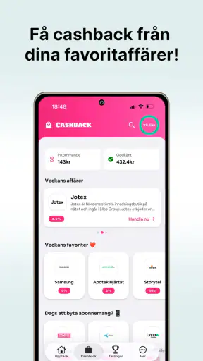 SveaPanelen screenshot