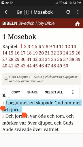 Svenska Bibeln screenshot