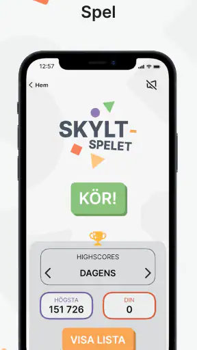 Ta Körkort screenshot