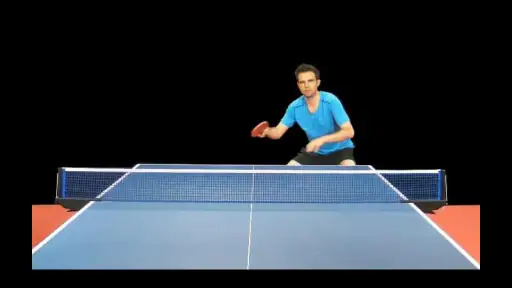 Table Tennis Edge screenshot