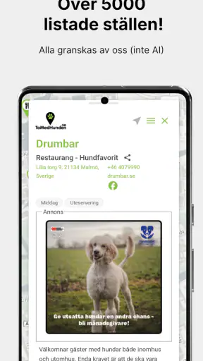 tamedhunden screenshot