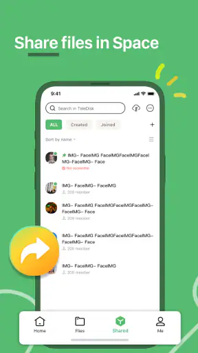 TeleDisk: Cloud Storage screenshot