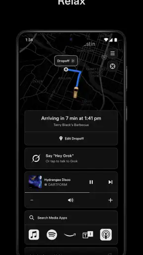 Tesla Robotaxi screenshot
