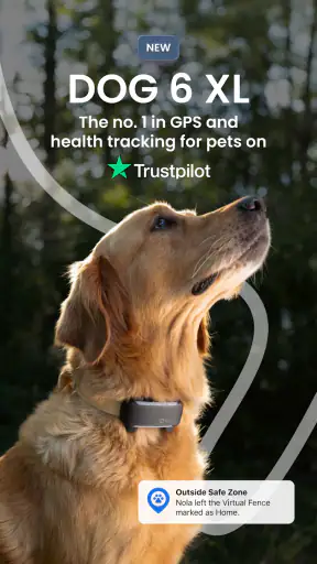 Tractive GPS för hund och katt screenshot