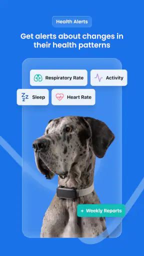 Tractive GPS för hund och katt screenshot