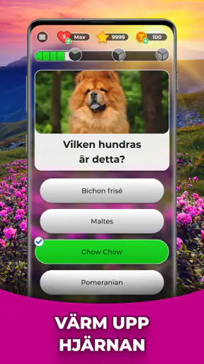 Triviascapes: trivia & IQ-test screenshot