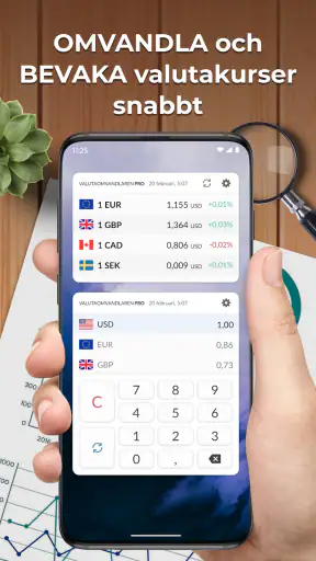 Valutaomvandlaren Plus screenshot