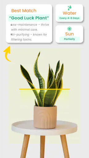 Växtidentifierare - Växtapp screenshot