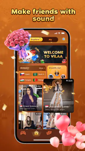 Vilaa chat screenshot