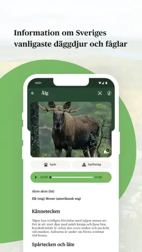 Viltappen screenshot