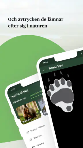 Viltappen screenshot