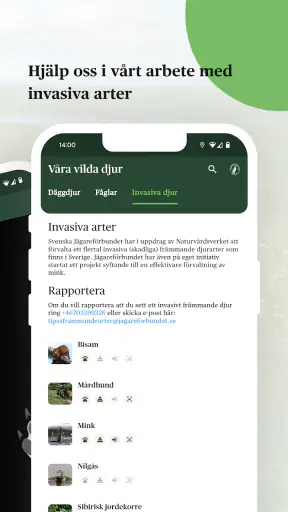 Viltappen screenshot