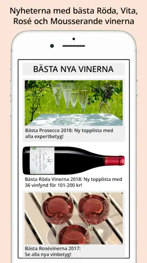 VinBetyget screenshot