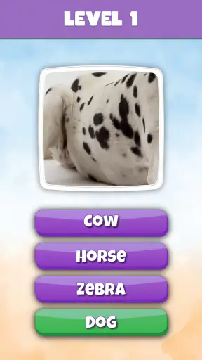 What is it? Pics Trivia Quiz screenshot