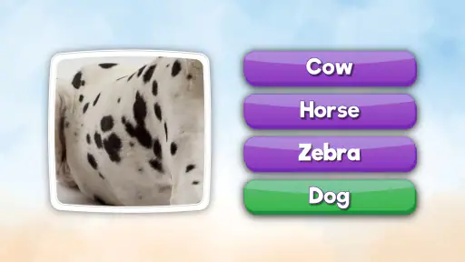 What is it? Pics Trivia Quiz screenshot
