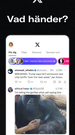 X (tidigare Twitter) screenshot