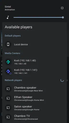 Yatse: Kodi remote and cast screenshot