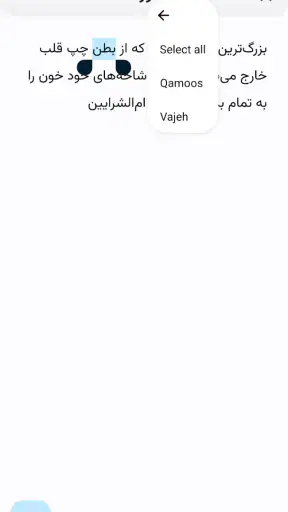 واژه یاب حرفه ای screenshot