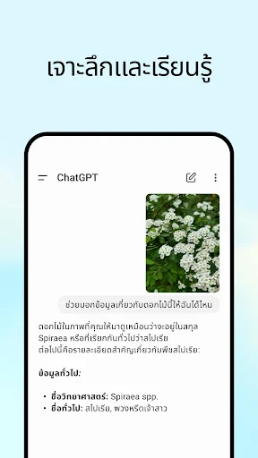ChatGPT screenshot