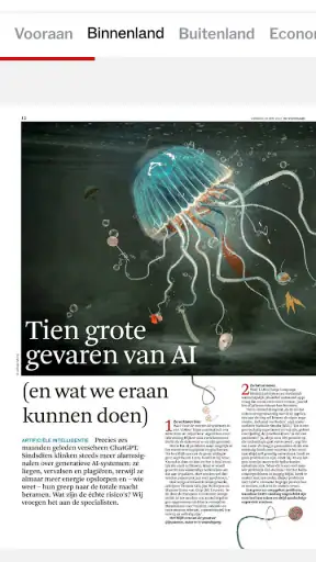 DS Krant screenshot