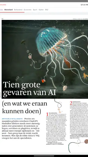 DS Krant screenshot