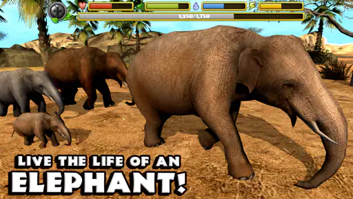 Elephant Simulator screenshot