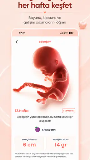 Elika: Hamilelik Takibi screenshot