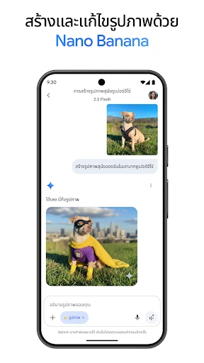Google Gemini screenshot
