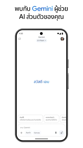 Google Gemini screenshot